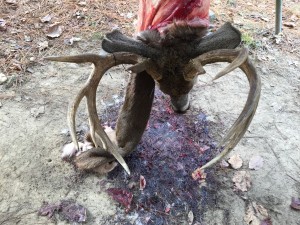 File Nov 26, 5 20 02 AM