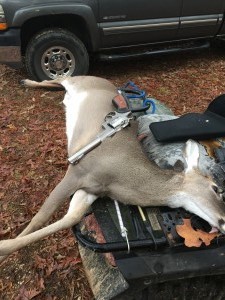 File Nov 29, 10 33 17 AM