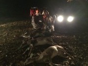 File Sep 06, 2 45 01 PM